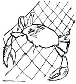 Итапоа - пудинг из крабов